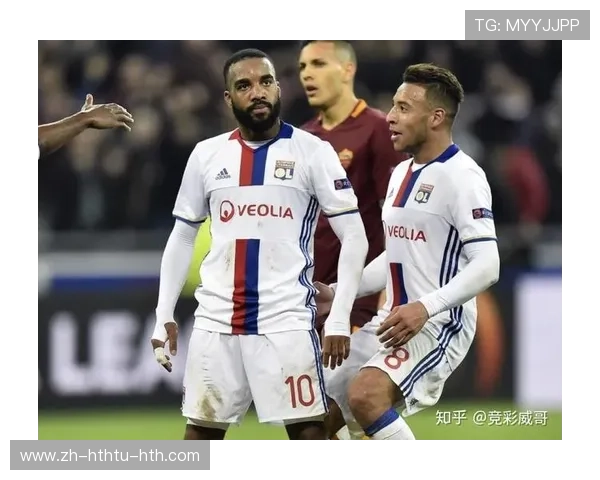 法甲赛季观众人数统计及球迷参与度分析